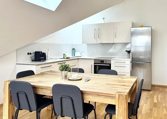 Spacious Penthouse In Favoriten