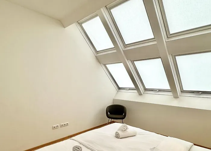 Spacious Penthouse In Favoriten *