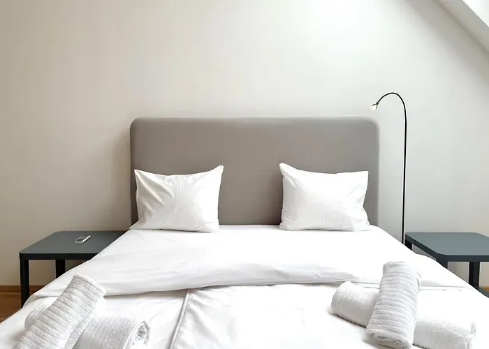 Spacious Penthouse In Favoriten Апартаменти Відень