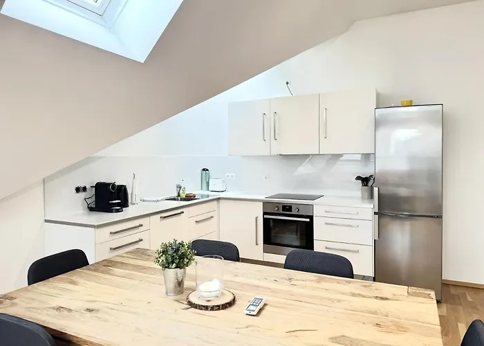 Апартаменти Spacious Penthouse In Favoriten Відень